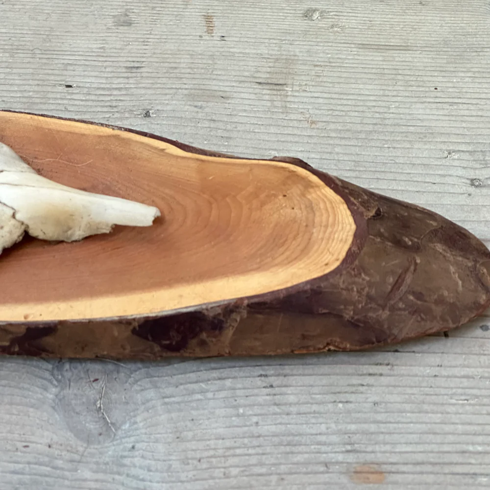 Black Forest Antlers on Plaque (#539) - Image 3