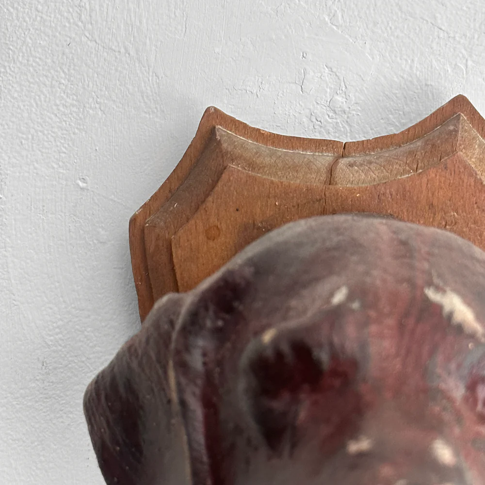 Black Forest Carved Dog Head (#546) - Image 4