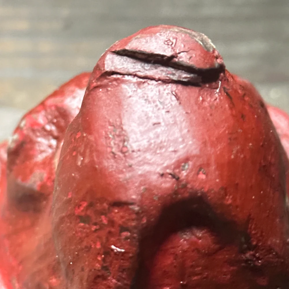 Black Forest Carved Red Dog Head (D51) - Image 4