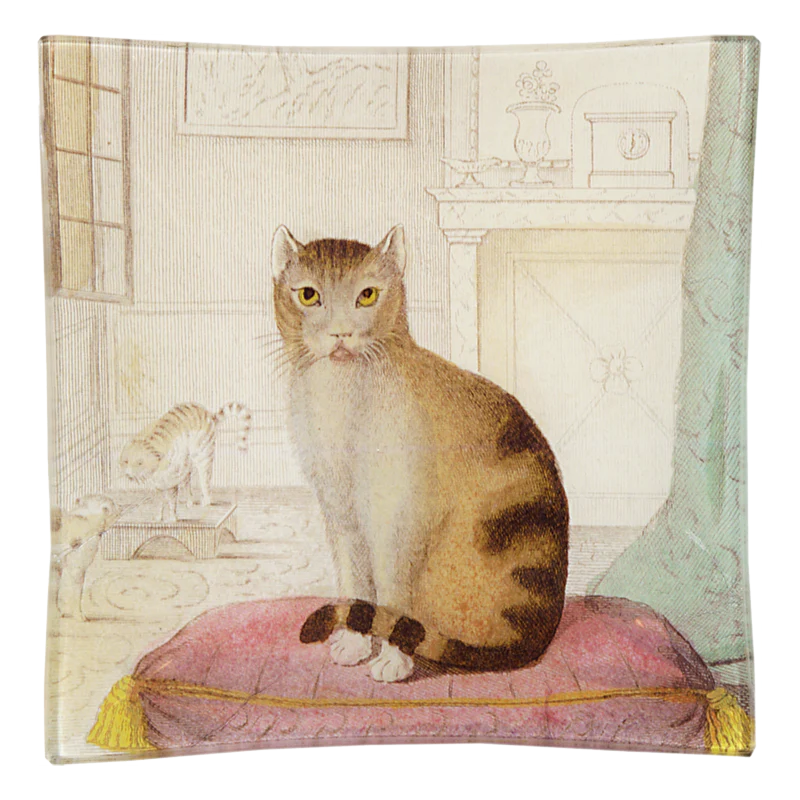 Calm Cat