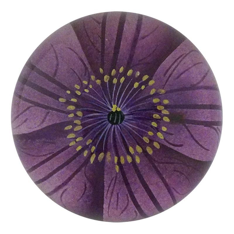 Jackmanii Clematis