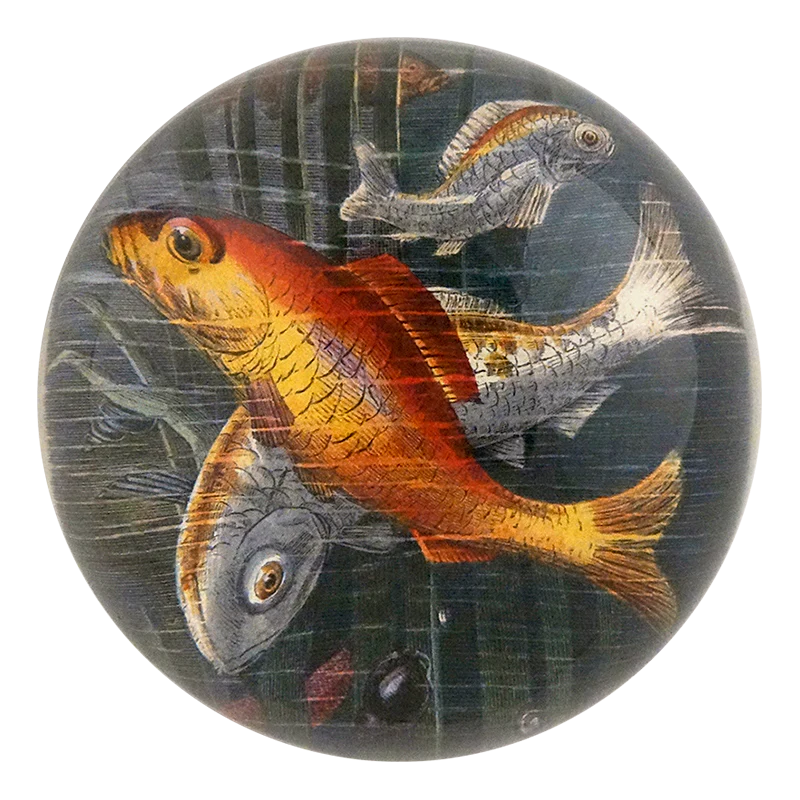 Varieties of Goldfish