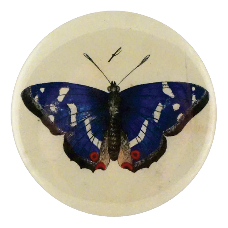 Purple Emperor Butterfly