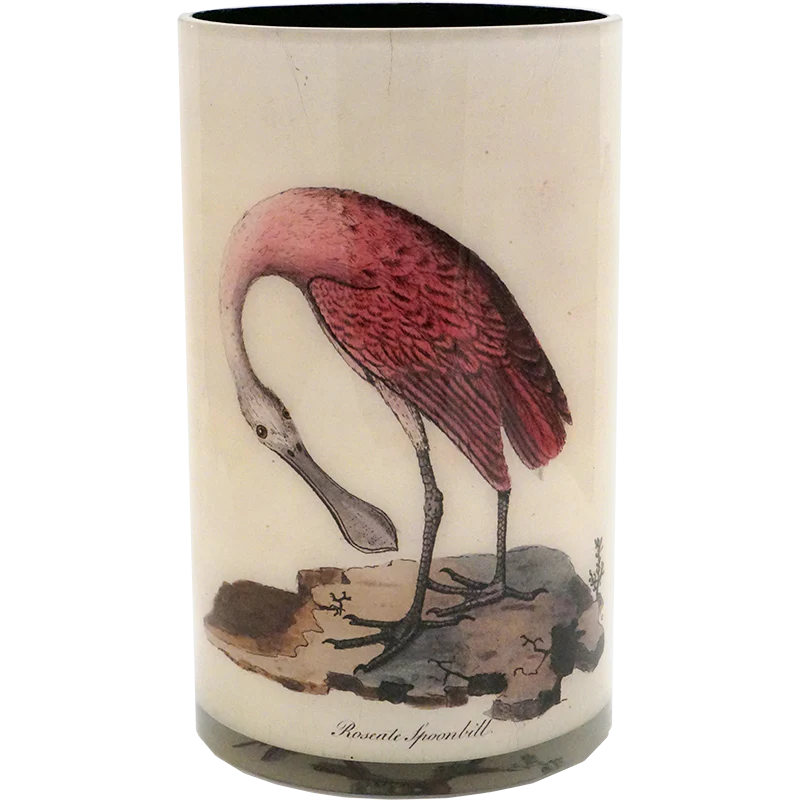 Birds - Image 2