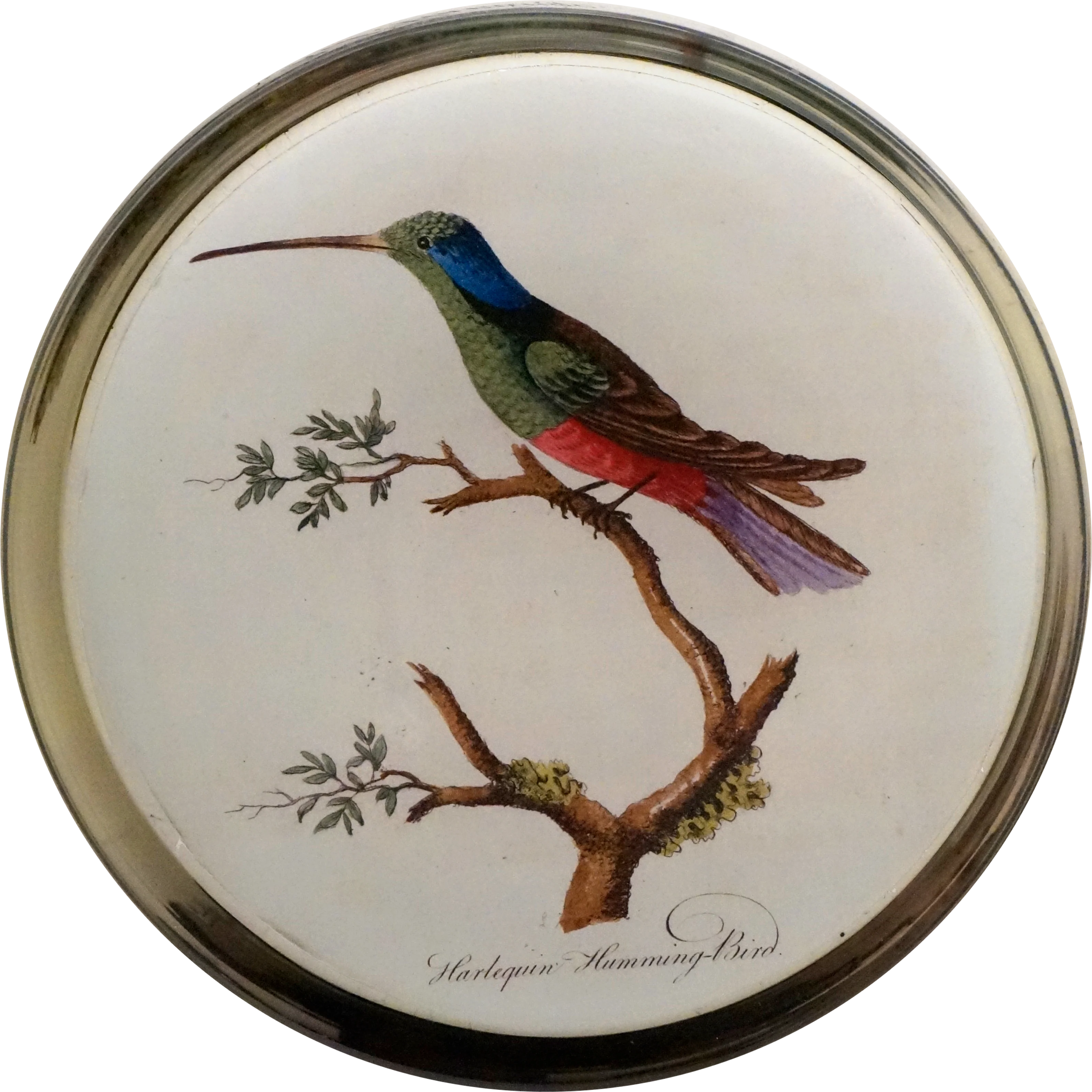 Birds - Image 3