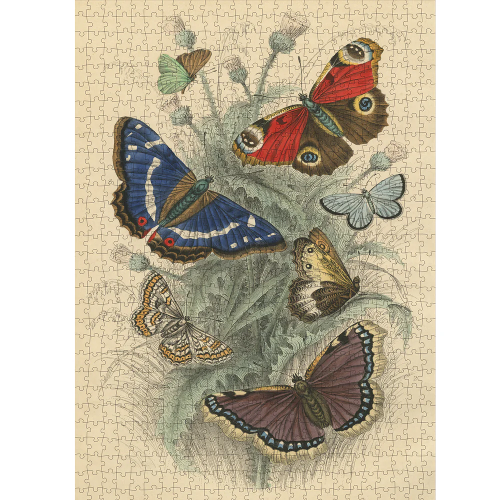 Dancing Butterflies - Image 2