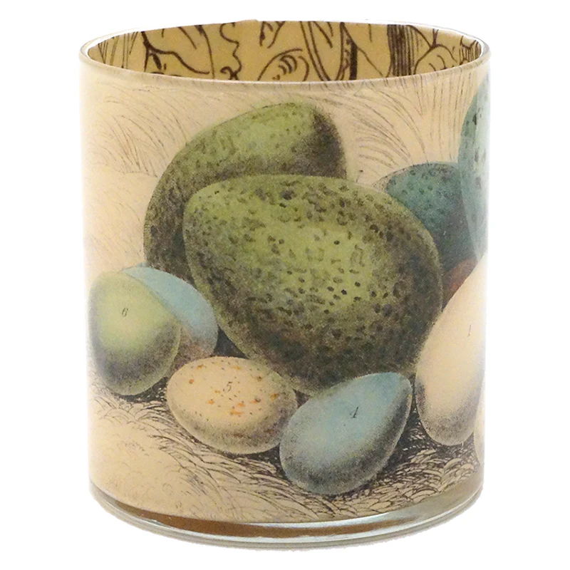 Eggs - Image 3