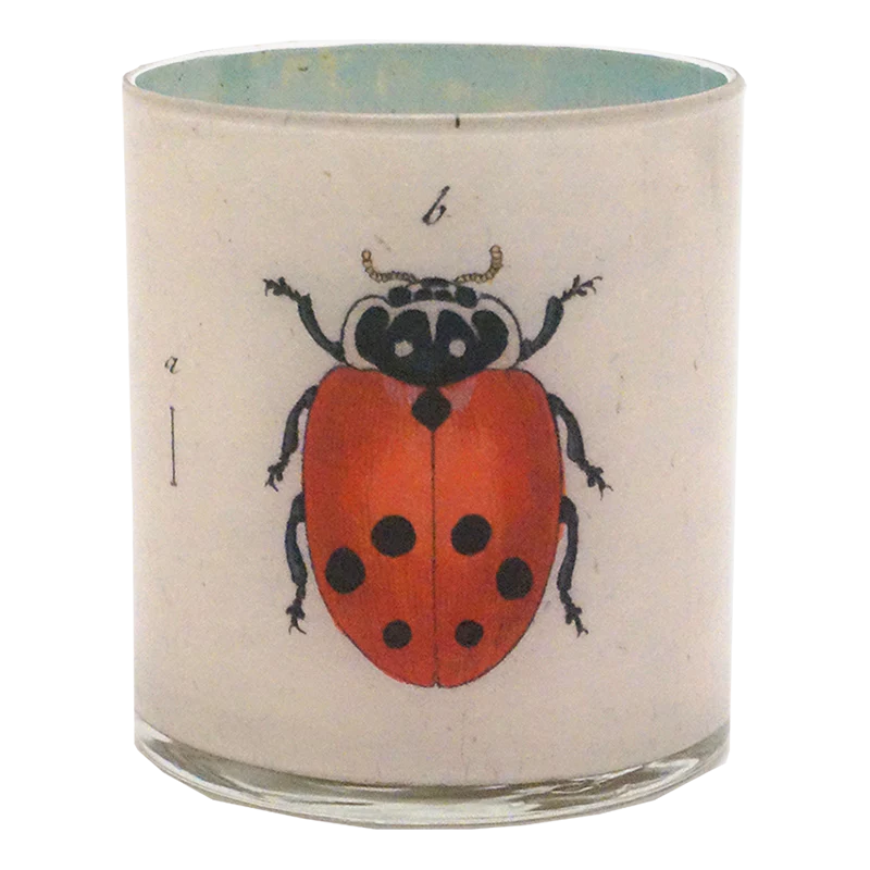 Ladybugs - Image 2