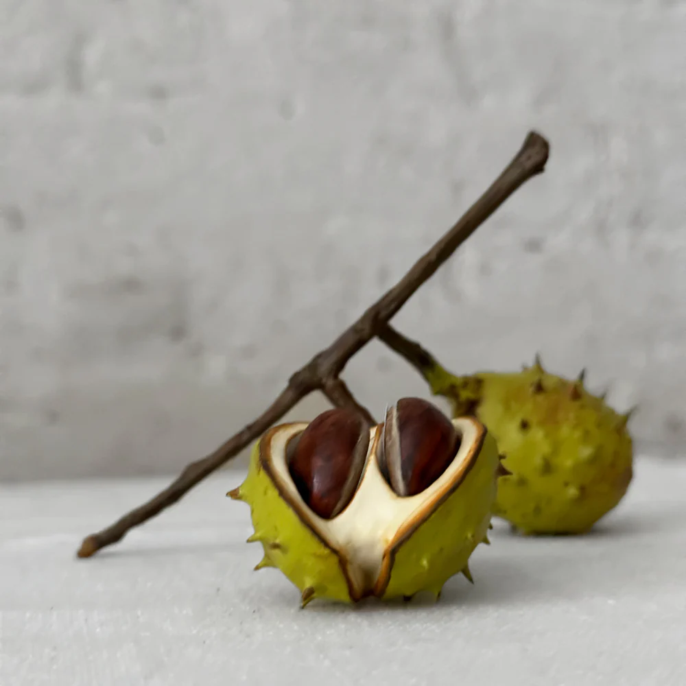 Double baby Porcelain Horse Chestnut with Removable Horse Chestnuts and Lid - Image 2