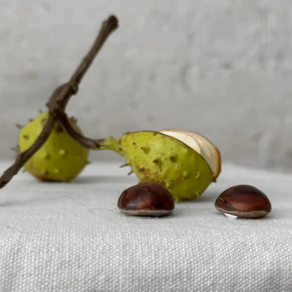 Double baby Porcelain Horse Chestnut with Removable Horse Chestnuts and Lid - Image 3