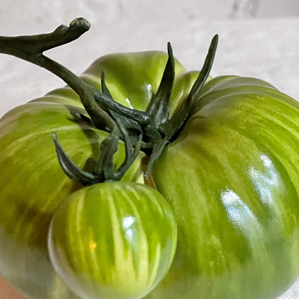 Double Porcelain Green Striped Tomatoes - Image 2