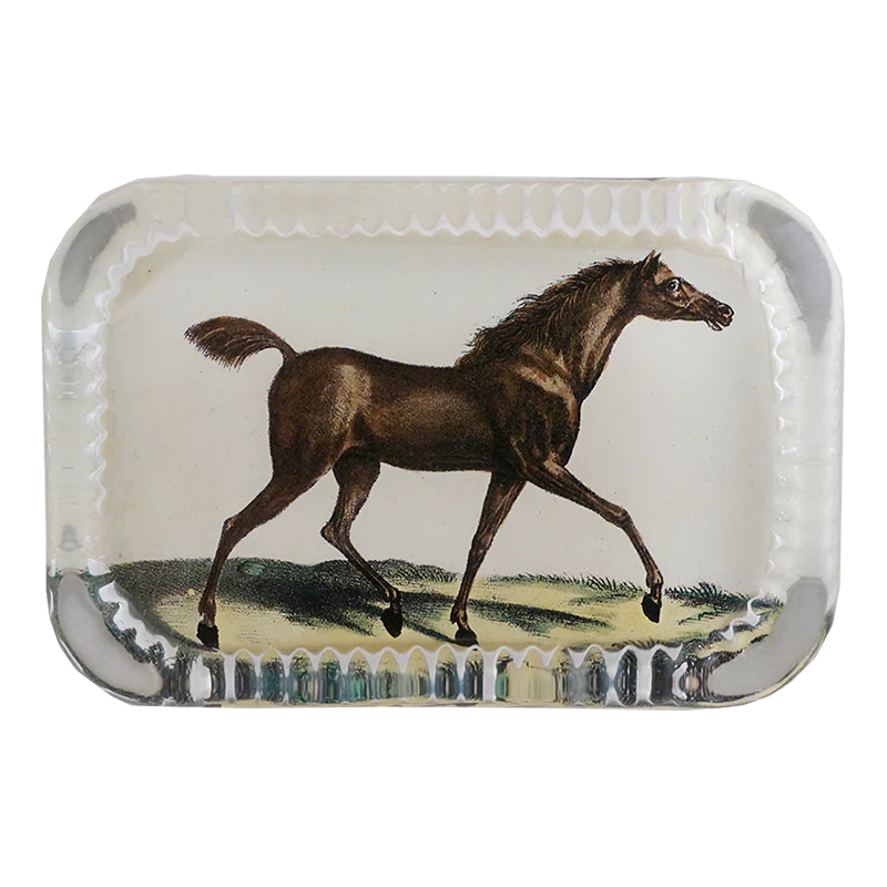 English Race Horse