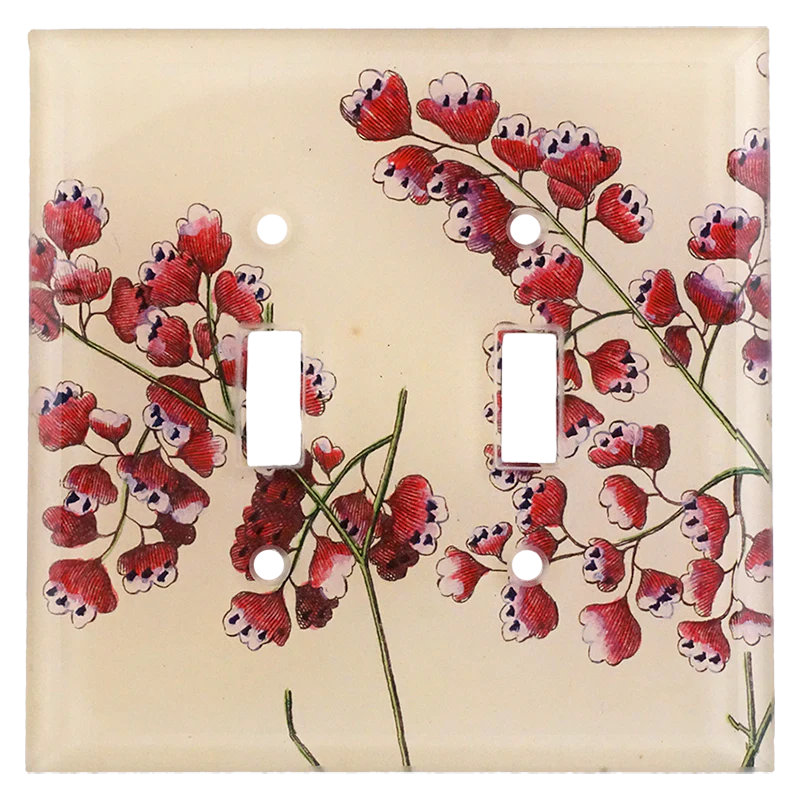 Adianthum