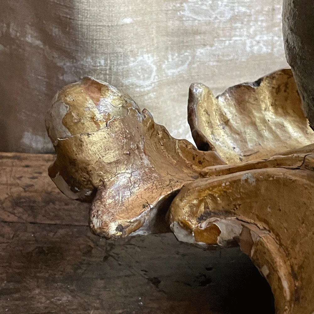 Early 20th Century Carved Austrian Skull Reliquary - Image 4