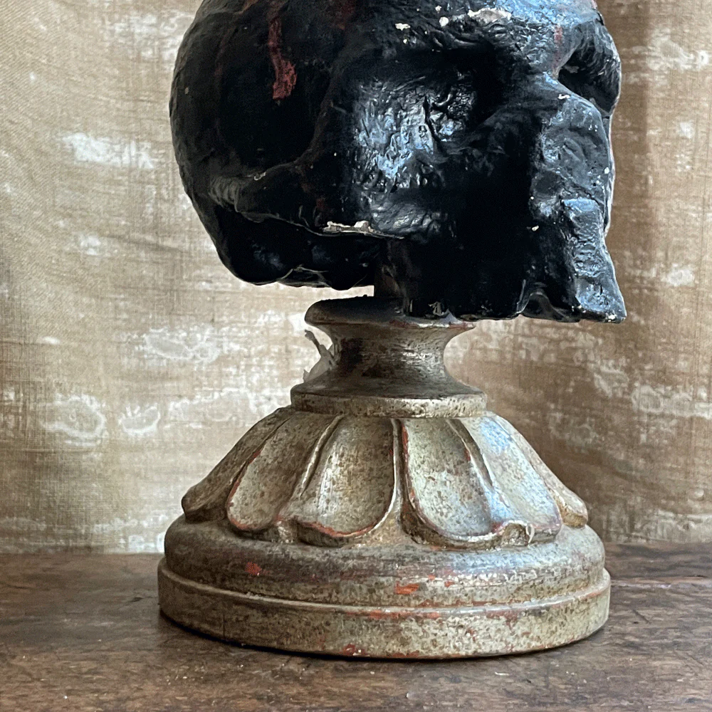 Early 20th Century Carved Austrian Skull - Image 2