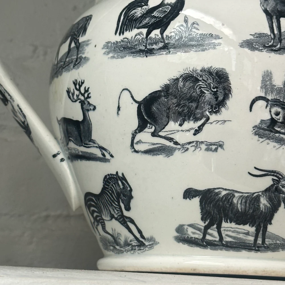 Elsmore & Forster Ironstone Transfer Printed Animals Pearlware Pitcher - Image 10