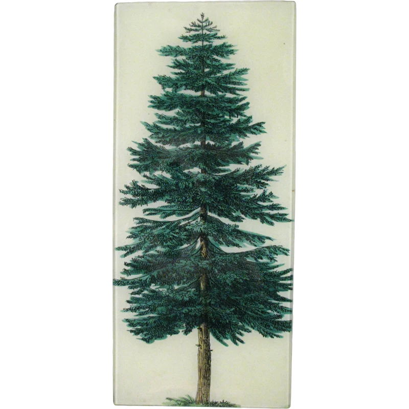 Evergreen Tree