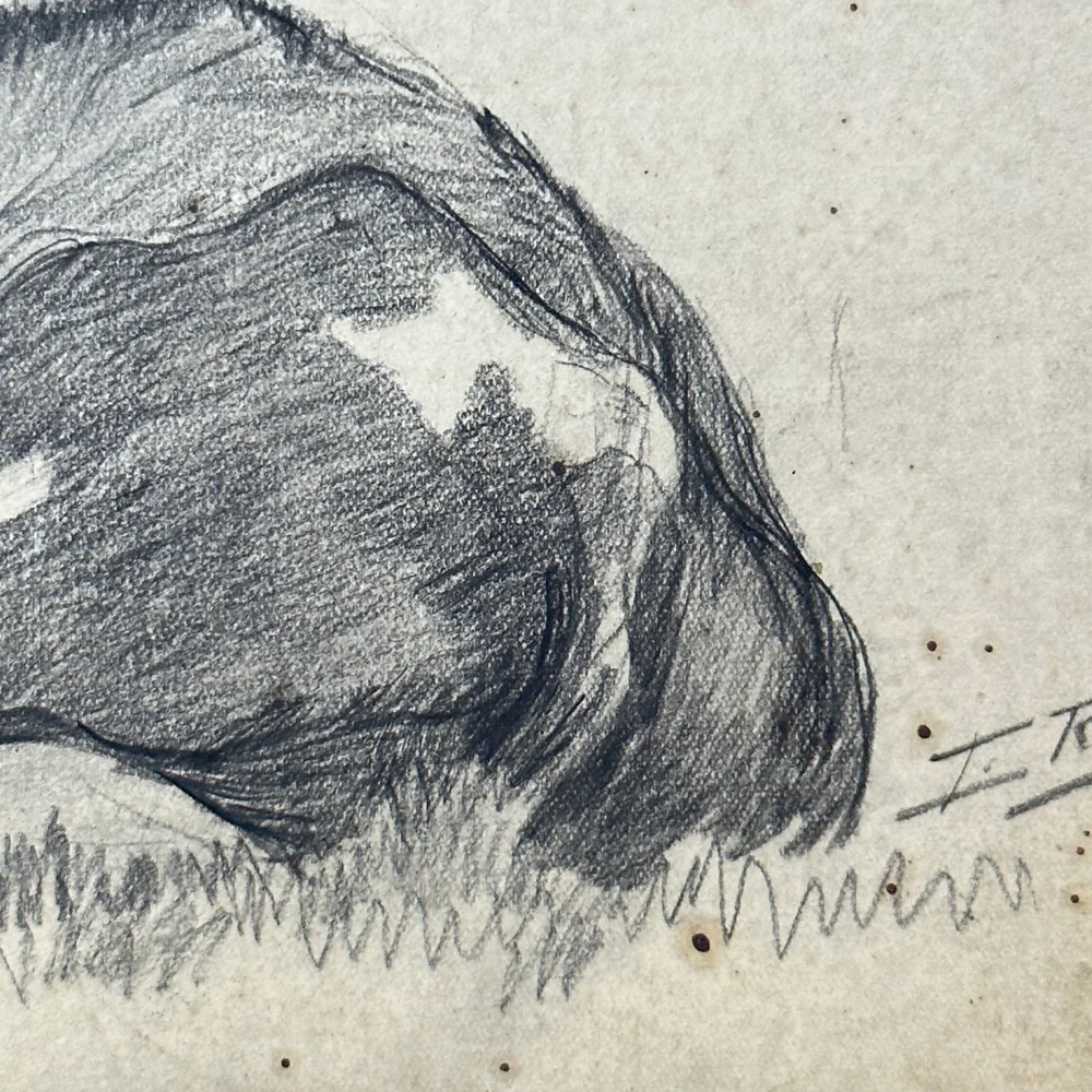 Evert Rabbers Early 20th-century Cow Drawing (ERA14) - Image 2