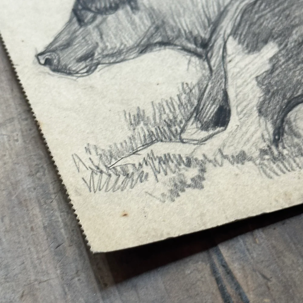Evert Rabbers Early 20th-century Cow Drawing (ERA14) - Image 5