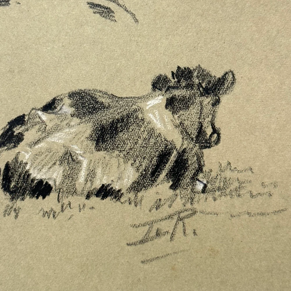 Evert Rabbers Early 20th-century Cow Drawing (ERA37) - Image 2