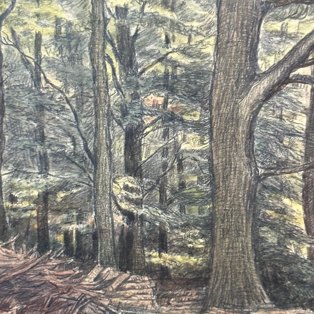 Evert Rabbers Early 20th-century Landscape Drawing (ERL12) - Image 2