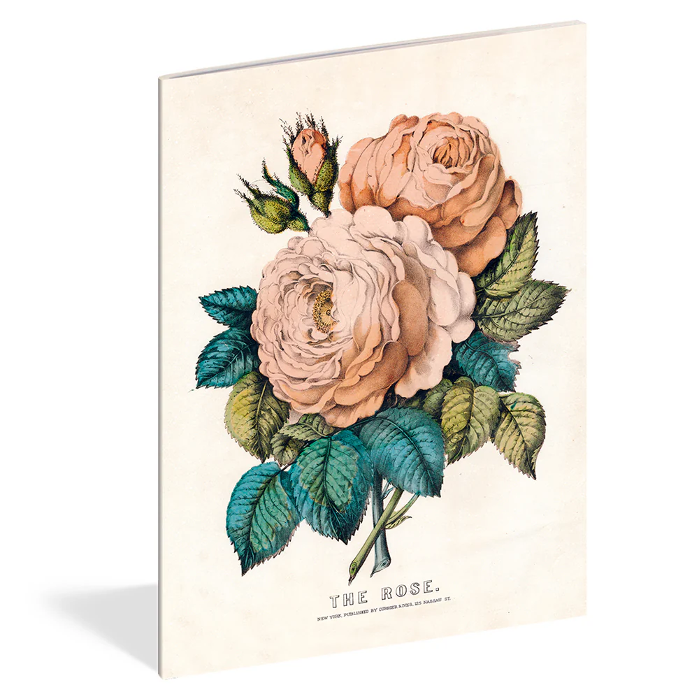 Everything Roses Notebook Set - Image 2