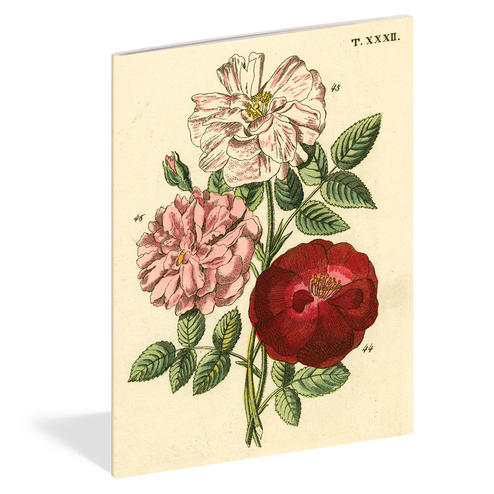 Everything Roses Notebook Set - Image 4