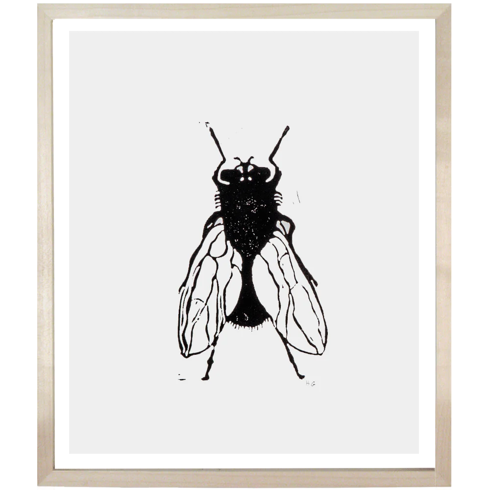 Fly