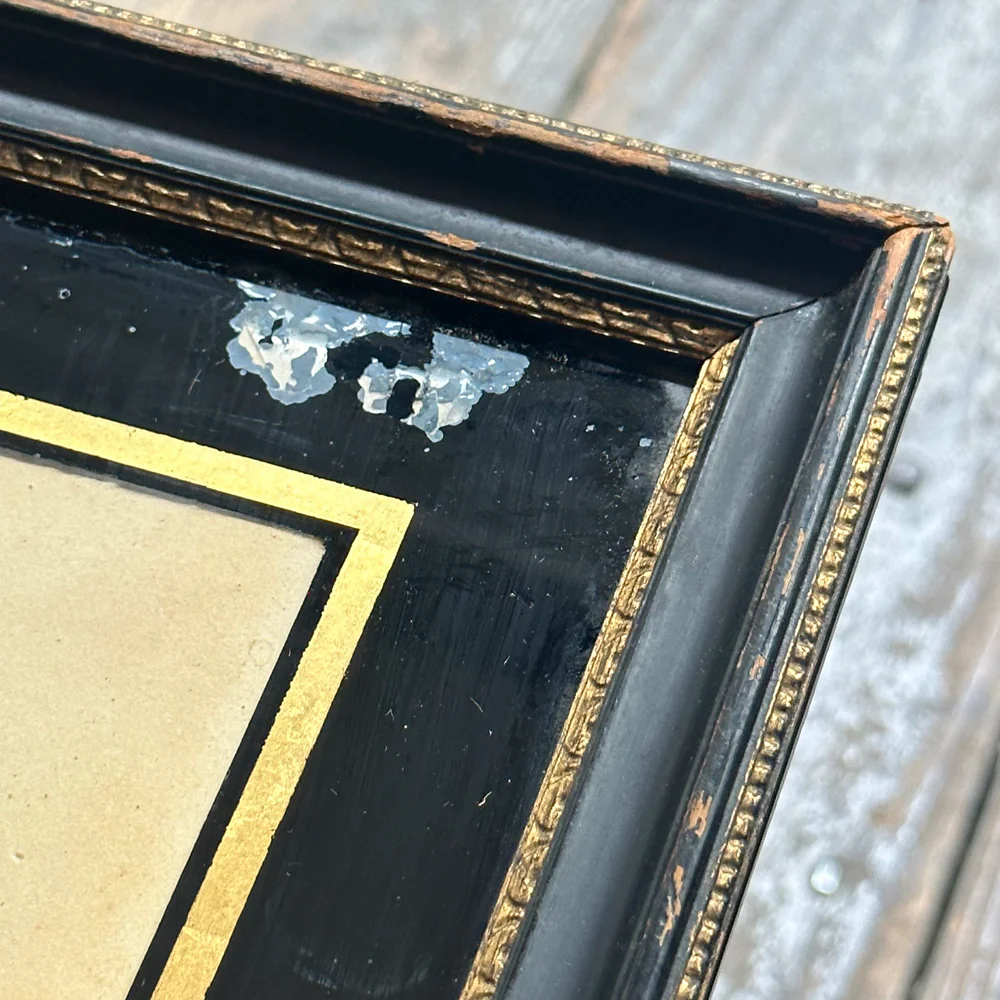Framed 19th-century British School Floral Print - Image 4