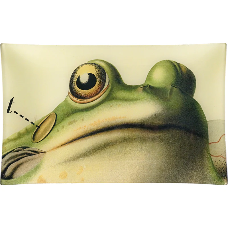 Frog Close-Up