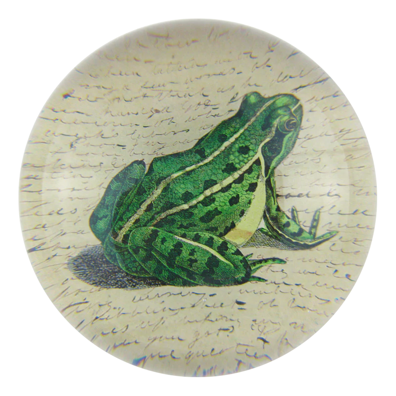 Frog Prince
