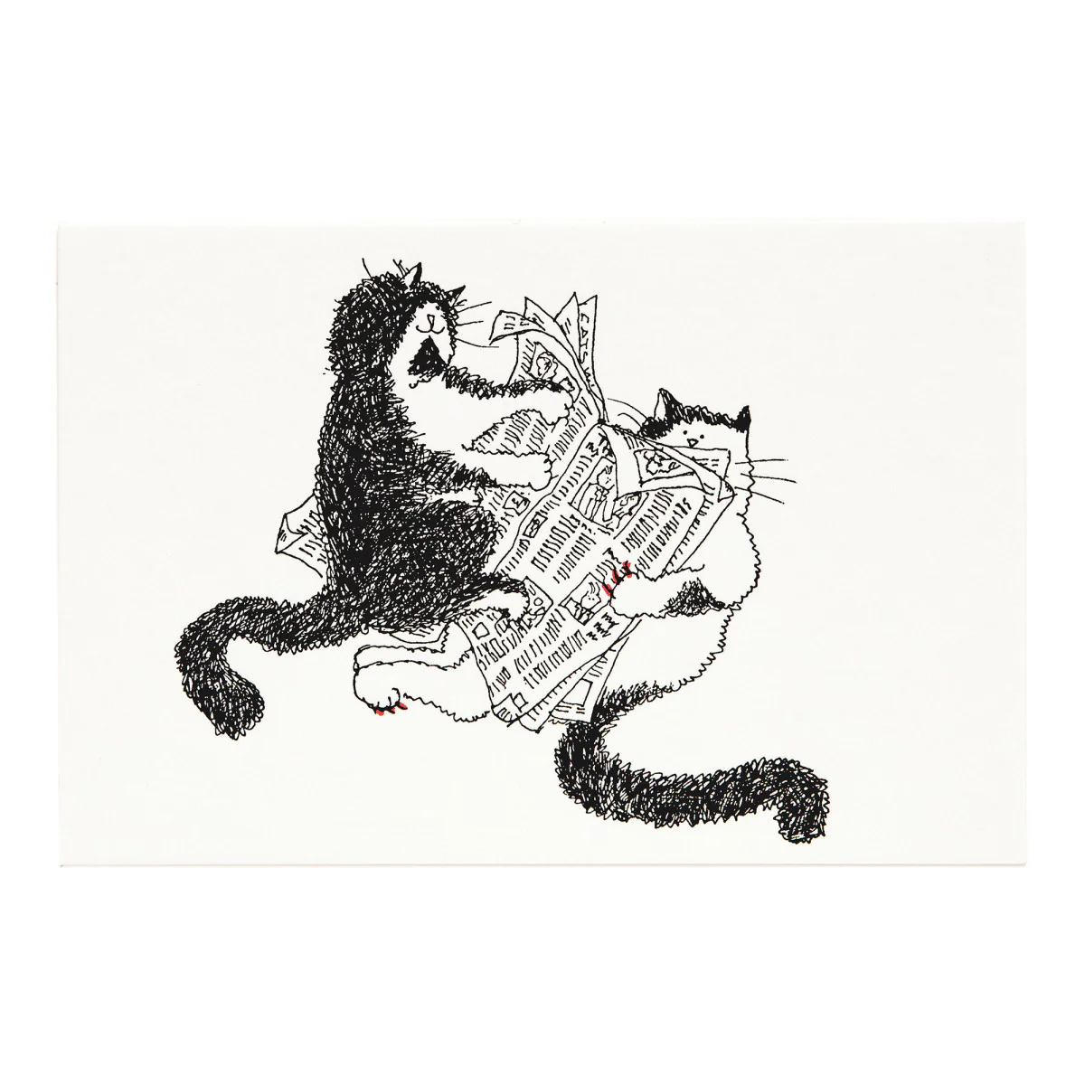 Grace Coddington "Blanket's Reading" Card & Envelope - Image 2