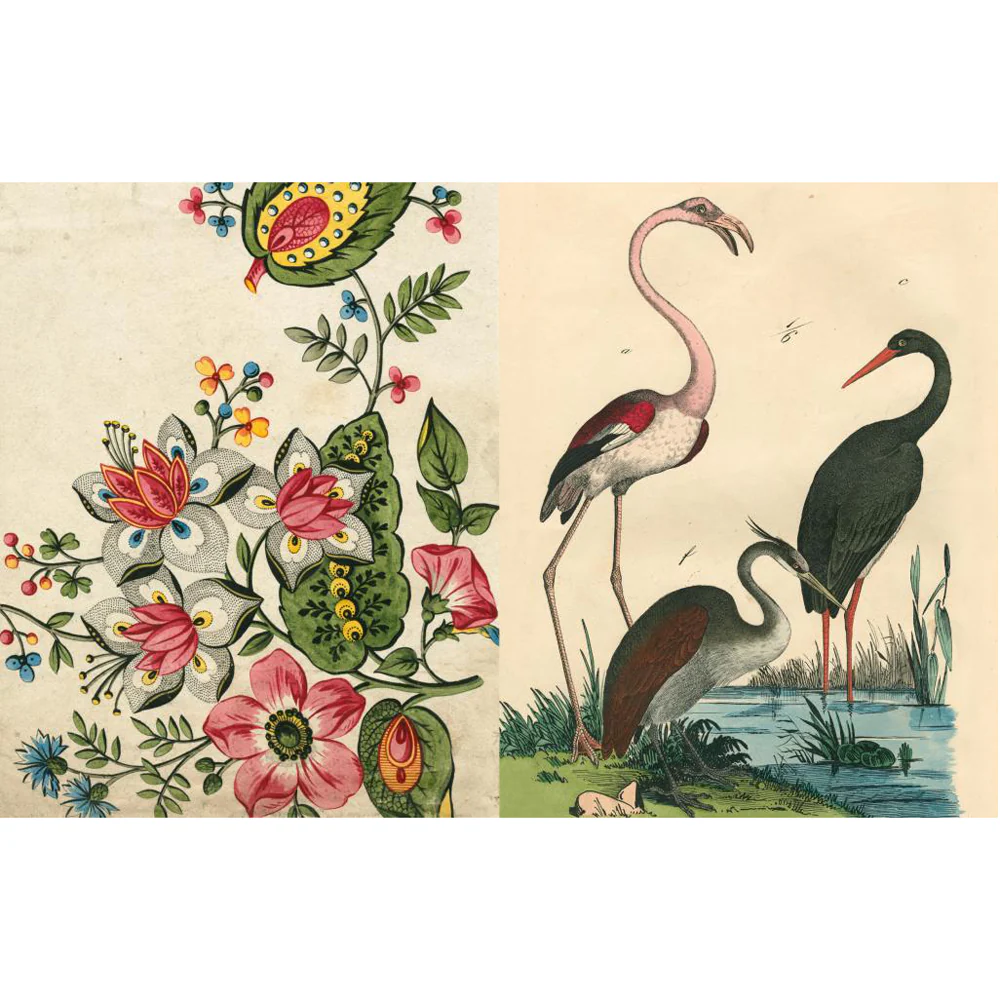 John Derian Picture Book II - Image 3