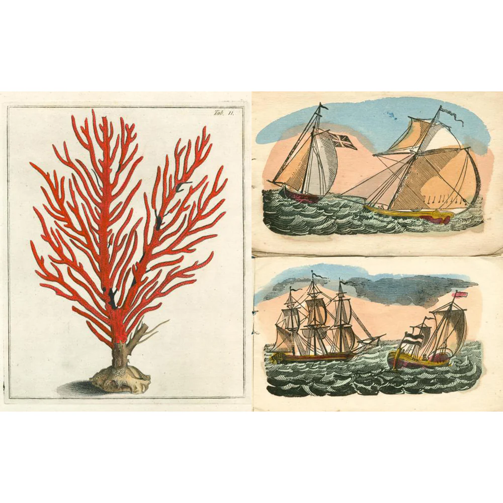 John Derian Picture Book II - Image 4