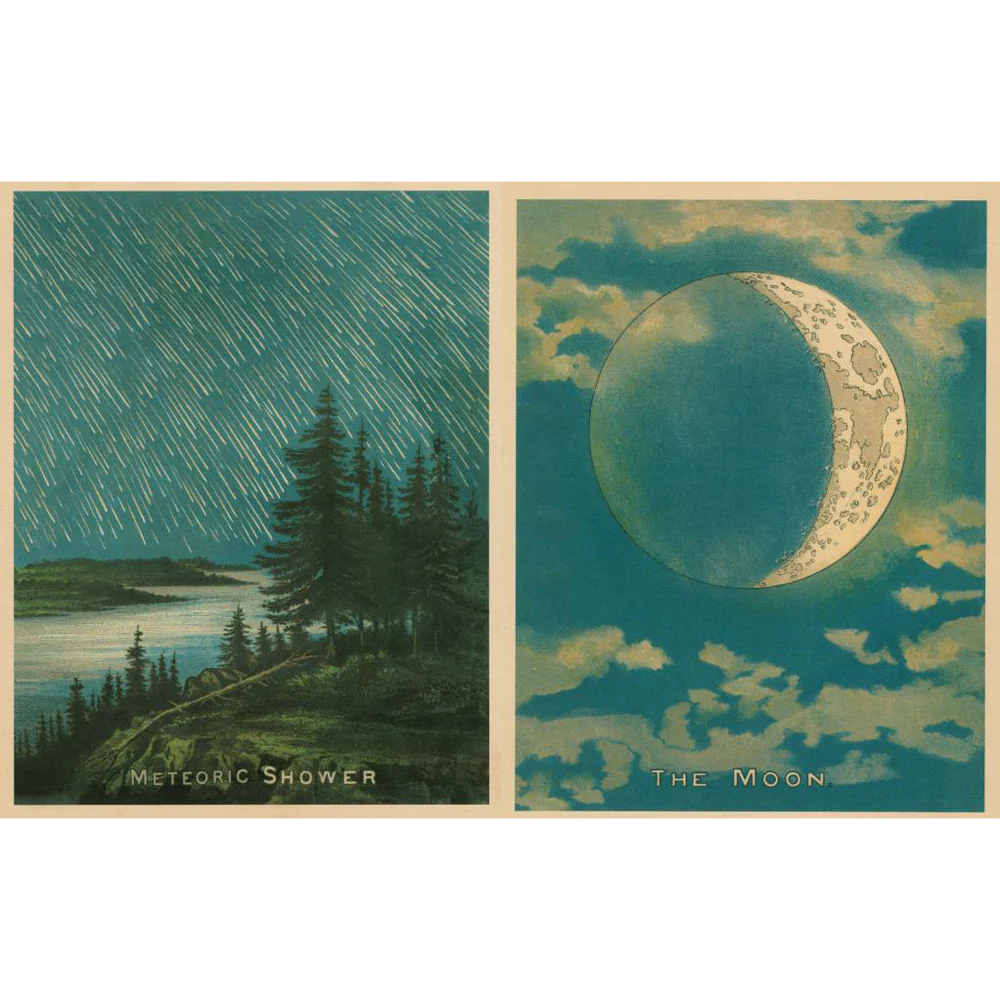 John Derian Picture Book II - Image 7
