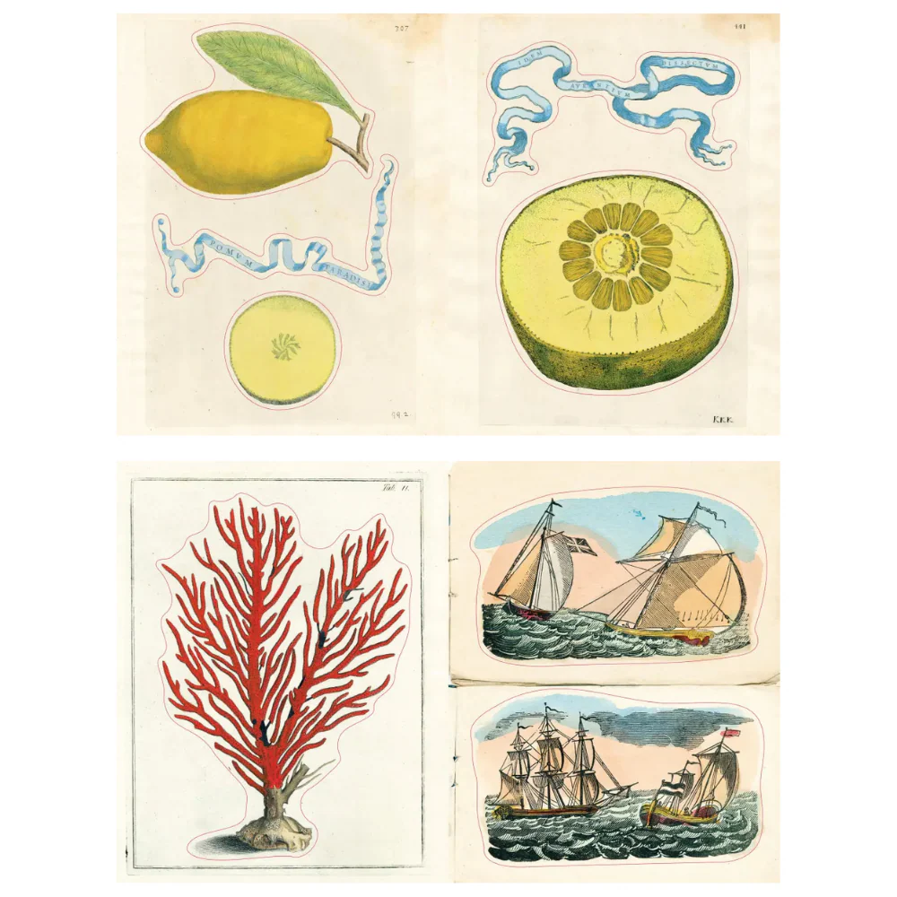 John Derian Sticker Book II - Image 2