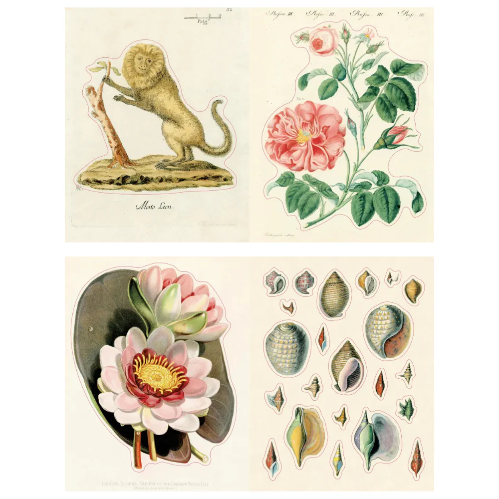 John Derian Sticker Book II - Image 3