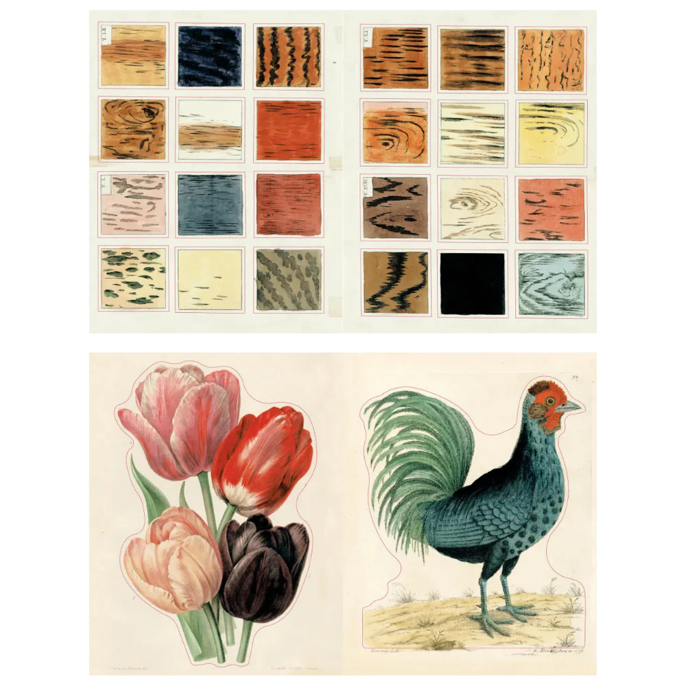 John Derian Sticker Book II - Image 4