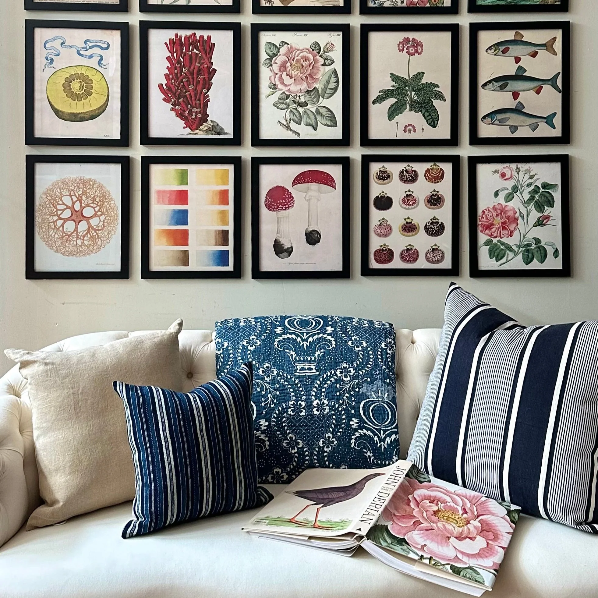 John Derian: The Picture Book Collection Set - Image 3