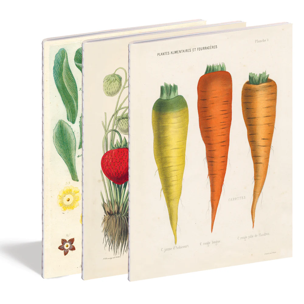 Kitchen Delight Notebook Set - Image 2