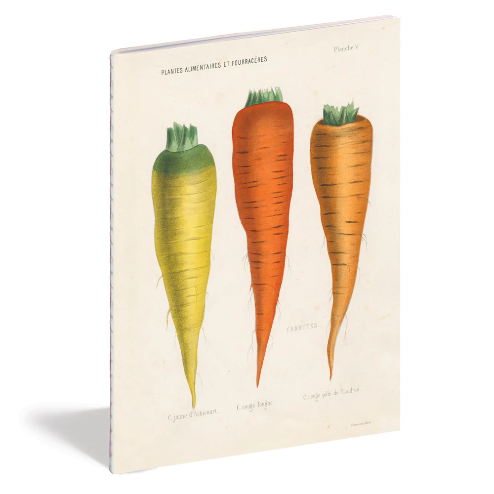 Kitchen Delight Notebook Set - Image 3