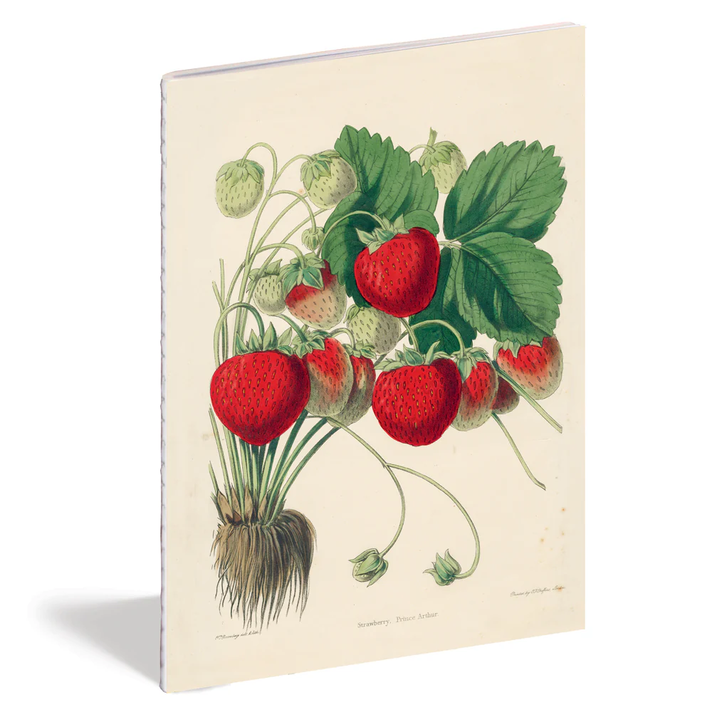 Kitchen Delight Notebook Set - Image 5