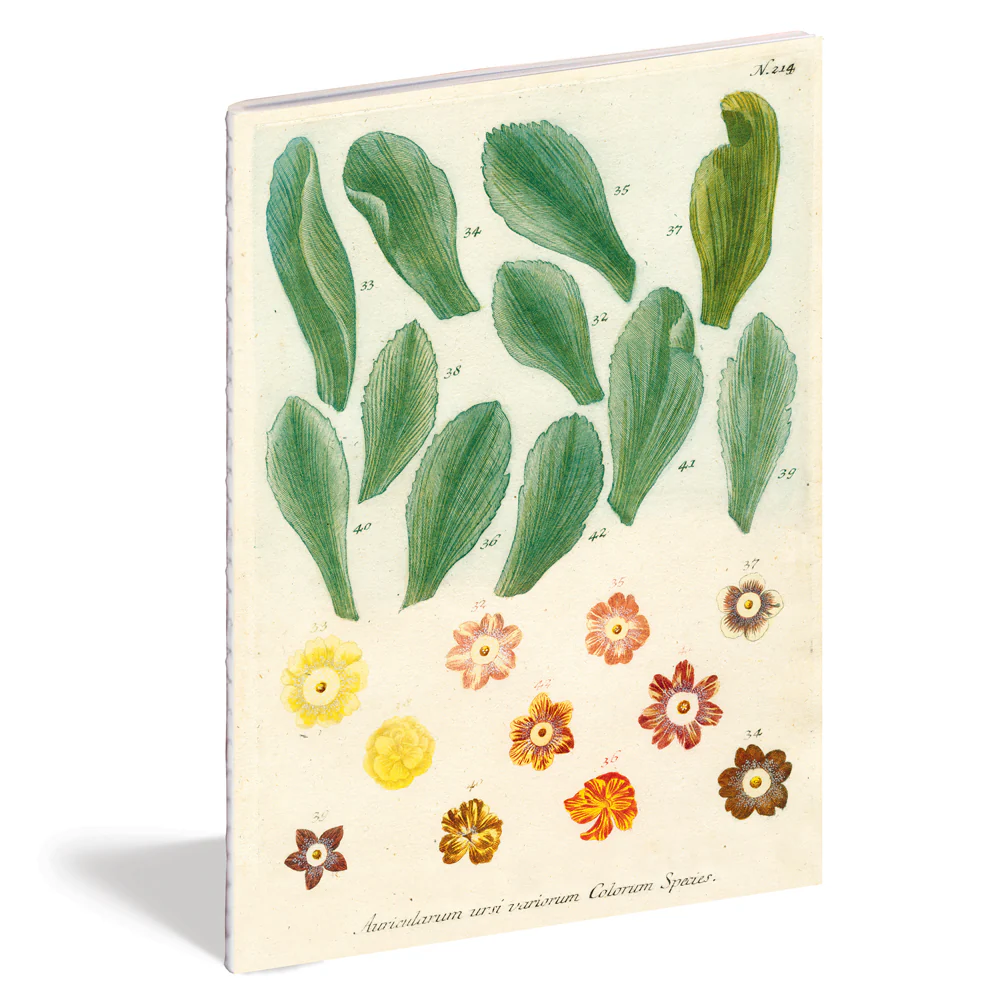 Kitchen Delight Notebook Set - Image 7