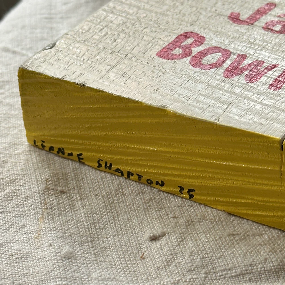 Leanne Shapton "2 Serious Ladies" Painted Wooden Book - Image 3
