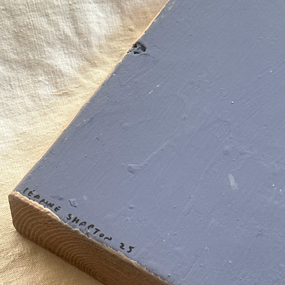 Leanne Shapton "A Christmas Carol" Painted Wooden Book - Image 4