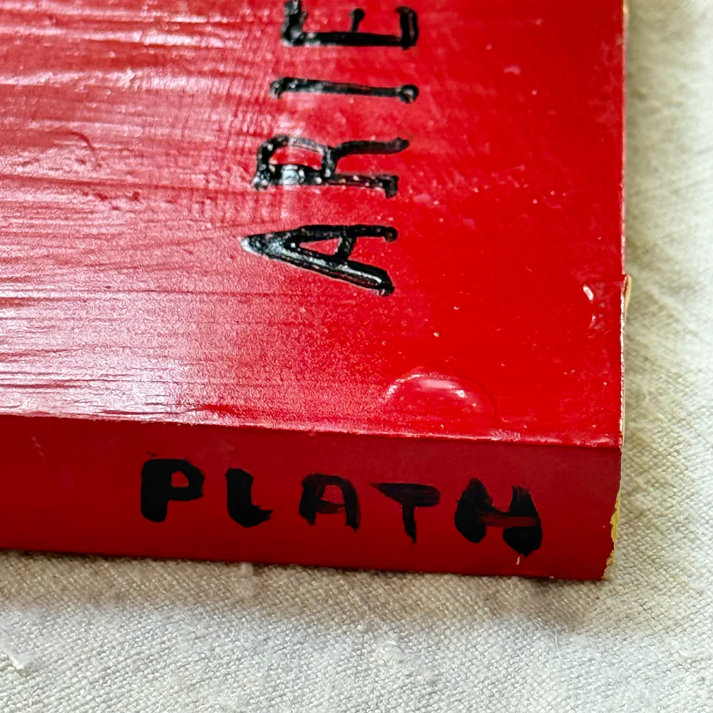 Leanne Shapton "Ariel" Painted Wooden Book - Image 3