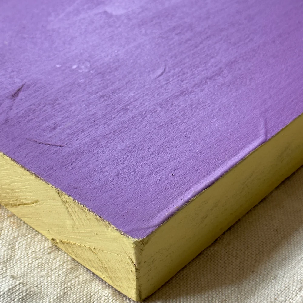 Leanne Shapton "Gender Trouble" Painted Wooden Book - Image 3