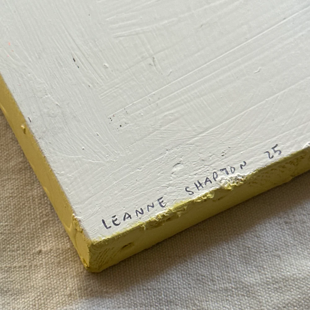Leanne Shapton "Heart of Darkness" Painted Wooden Book - Image 4