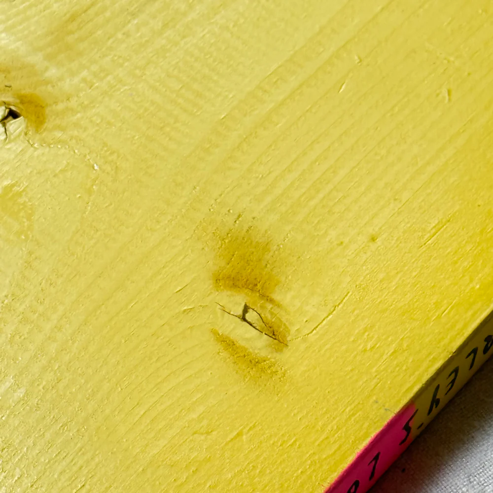 Leanne Shapton "Lady Chatterley's Lover" Painted Wooden Book - Image 5
