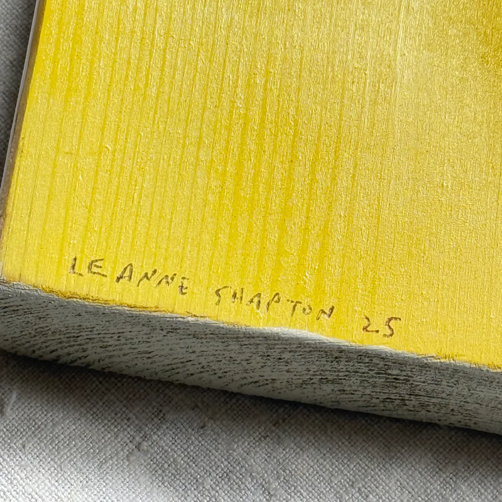 Leanne Shapton "Moby Dick" Painted Wooden Book - Image 4